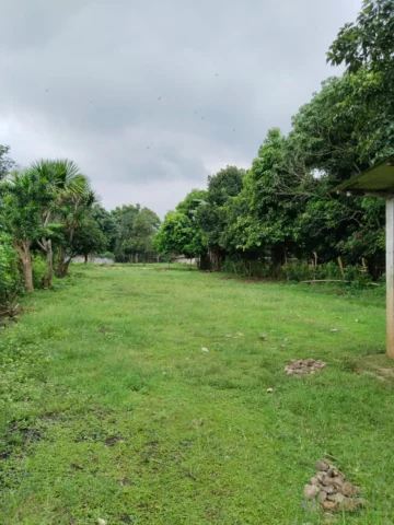 Tanah Dijual di Legok — LT 4.788 m²
