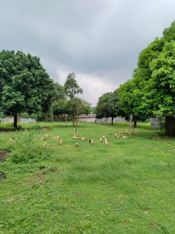 Tanah dijual di Jl. Raya Rancaiyuh, Legok - Lahan 4