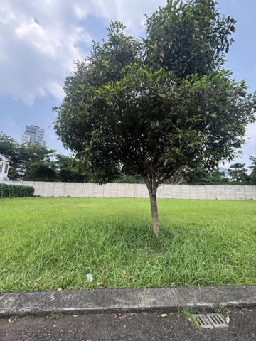 Kavling Residensial dijual di Sutera Victoria, Alam Sutera - Lahan 4