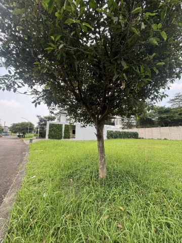 Kavling Residensial dijual di Sutera Victoria, Alam Sutera - Lahan 5