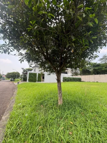Kavling Residensial dijual di Sutera Victoria, Alam Sutera - Lahan 4
