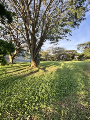 Kavling Residensial Dijual di Sutera Danau Biru, Alam Sutera — LT 1.000 m²