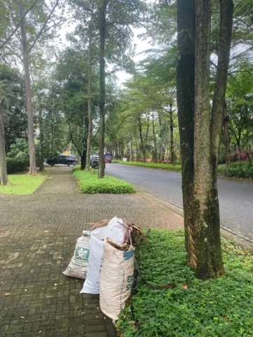 Rumah disewakan di De Maja, BSD - Jalan Depan