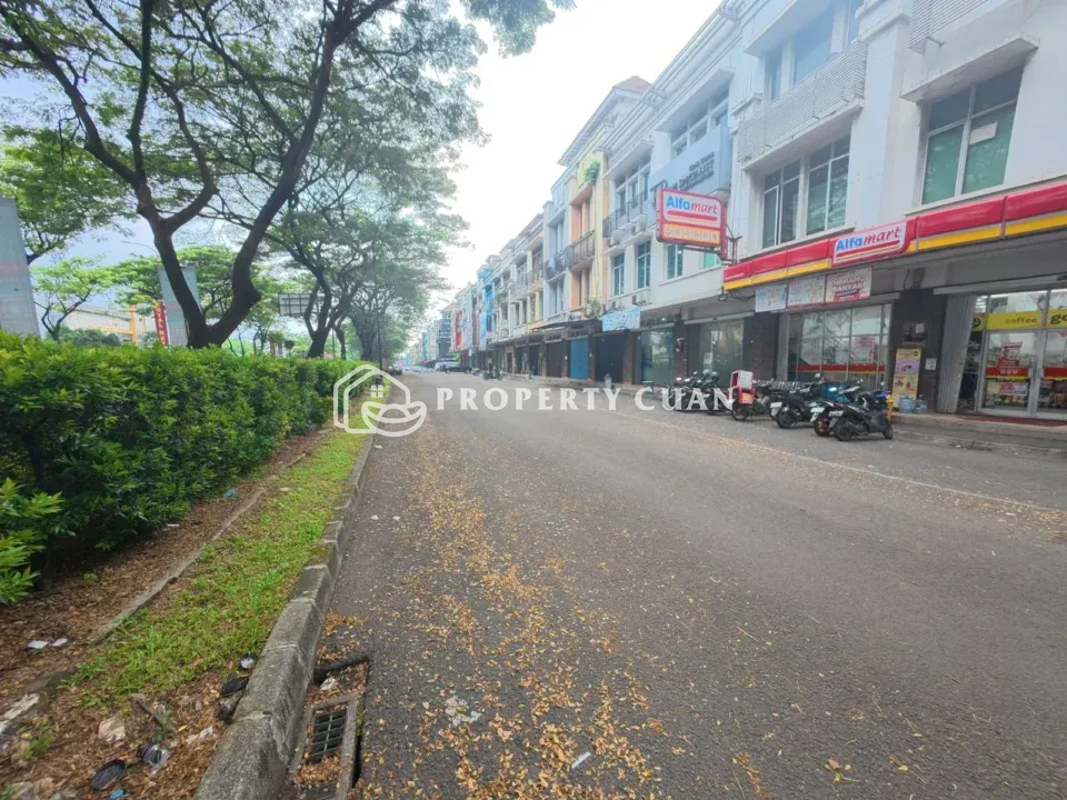 Ruko dijual di Ruko Tol Boulevard, BSD - Lingkungan