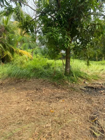 Kavling Komersial dijual di Serang - Lahan 2