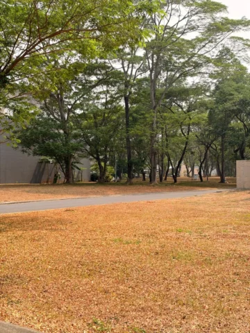 Kavling Residensial Dijual di Sutera Palma, Alam Sutera — LT 523 m² — foto 2